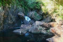 A natural pool